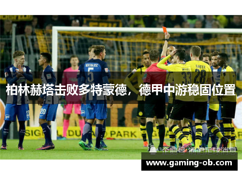 柏林赫塔击败多特蒙德，德甲中游稳固位置
